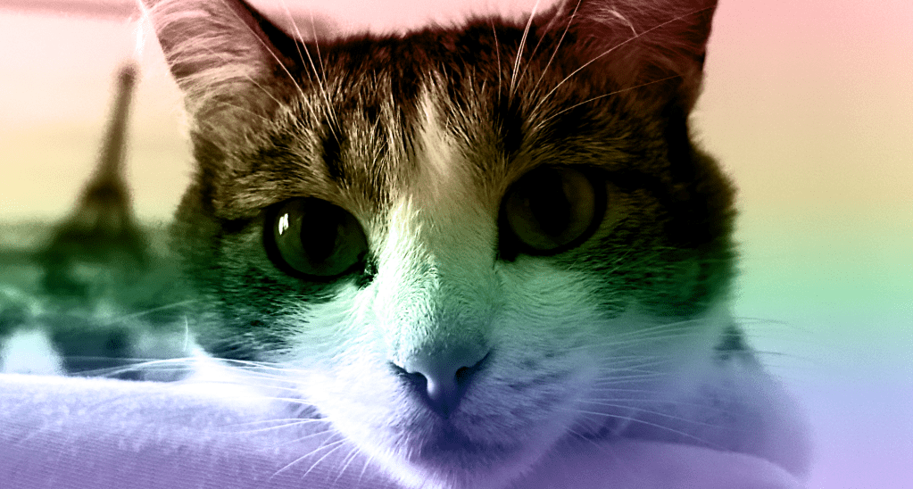 «Любовь никуда не пропала»: художница из Коми о законах против&nbsp;ЛГБТК-людей